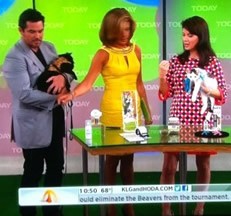 National Geographic’s Award-winning Cat Behaviorist and Feline Science Author Mieshelle on The Today Show.  Recipient of the “Golden Purr Award”,