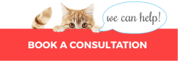 Book a Consultation | We can help | Mieshelle Nagelschneider | Cat Behaviorist