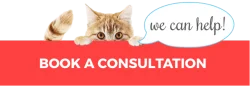 Book a Consultation | We can help | Mieshelle Nagelschneider | Cat Behaviorist