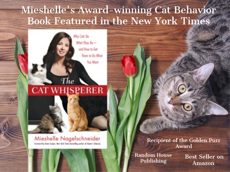 The Cat Whisperer Book about Cat Behavior with a Cat and Cat Behaviorist Mieshelle Nagelschneider on the book cover The Cat Whisperer Book about Cat Behavior with a Cat | Cat Behaviorist