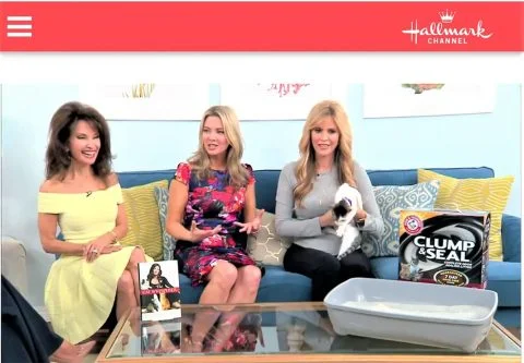 Cat Behaviorist Mieshelle Nagelschneider on The Hallmark Channels Home & Family | Cat Behaviorist Cat Behaviorist Mieshelle Nagelschneider on The Hallmark Channels Home & Family | Cat Behaviorist
