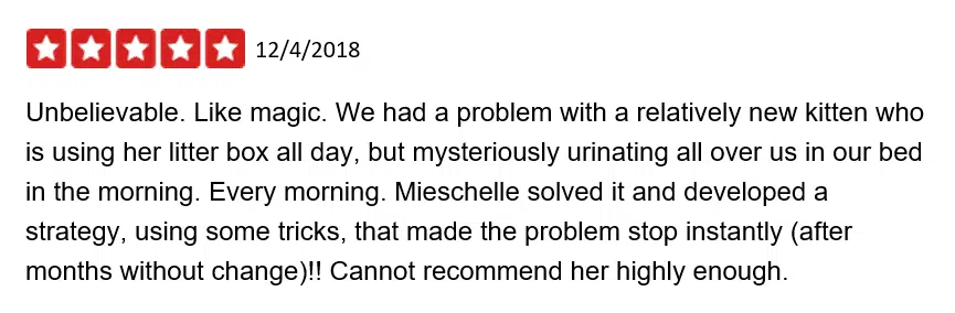 YELP-Review-The-Cat-Behavior-Clinic-Mieshelle-2018-12-04