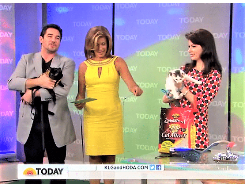 Mieshelle Nagelschneider on the Today Show holding a cat | Mieshelle Nagelschneider | Cat Behaviorist | thecatbehaviorclinic.com
