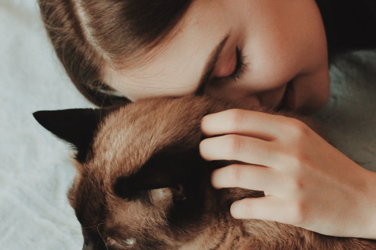 person holding cat close to their face showing love | Mieshelle Nagelschneider | Cat Behaviorist | thecatbehaviorclinic.com