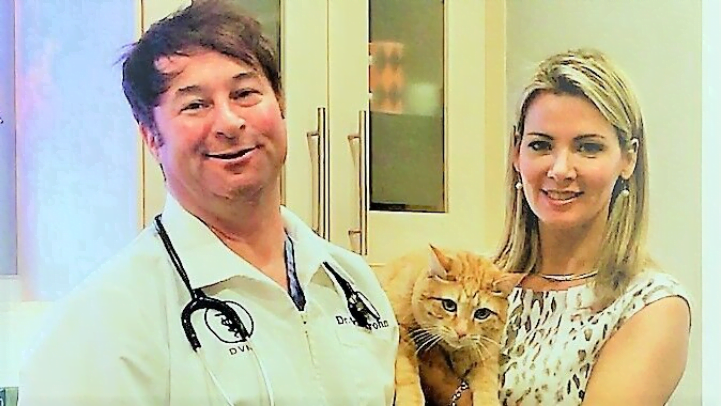 Cat Behaviorist Mieshelle Nagelschneider with veterinarian holding orange tabby cat in a vet clinic